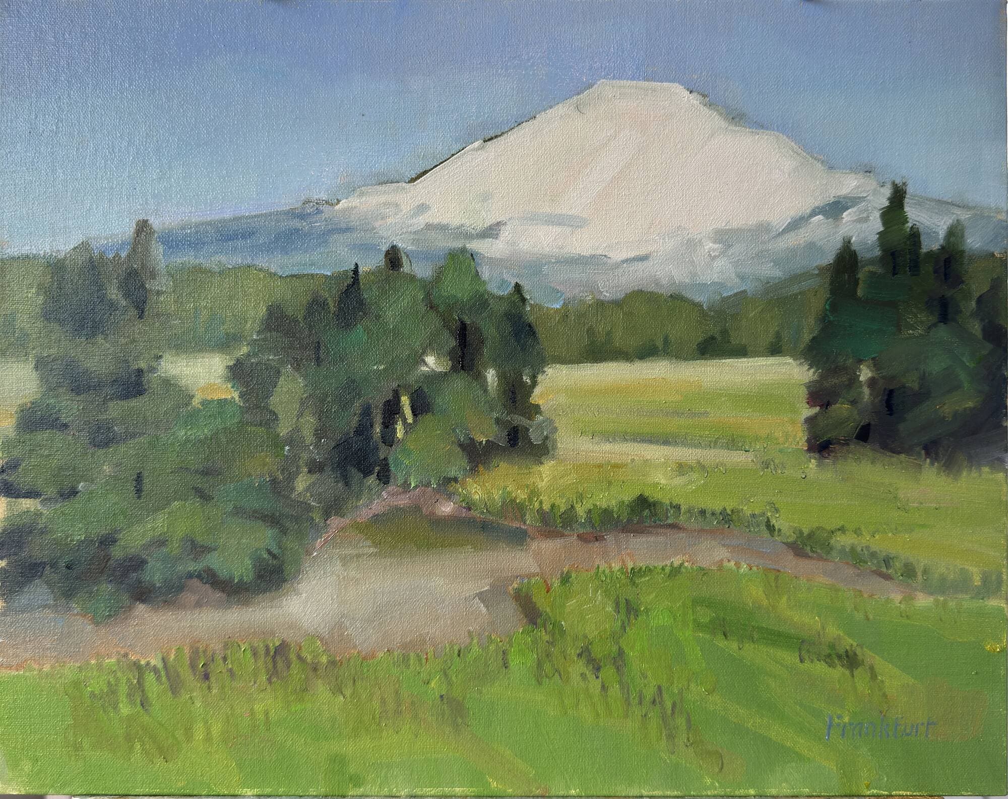 Mt Adams from Trout Lake